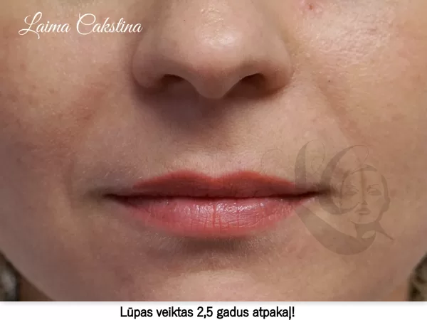 Permanent makeup lips, work done 2,5 Years ago