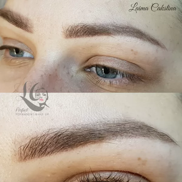 #permanentasuzacis#healed brows
