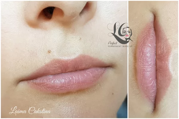 Tempera Lips nude healed! Lips micropigmentation