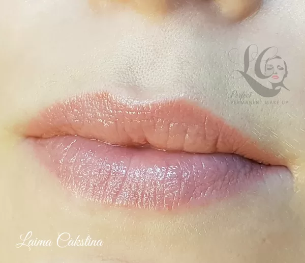 #lūpumikropigmentācija#Tempera Lips sadzijis